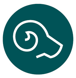 Customer experience icon of ram's head
