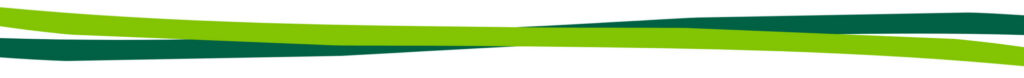 A light green and dark green line intertwined