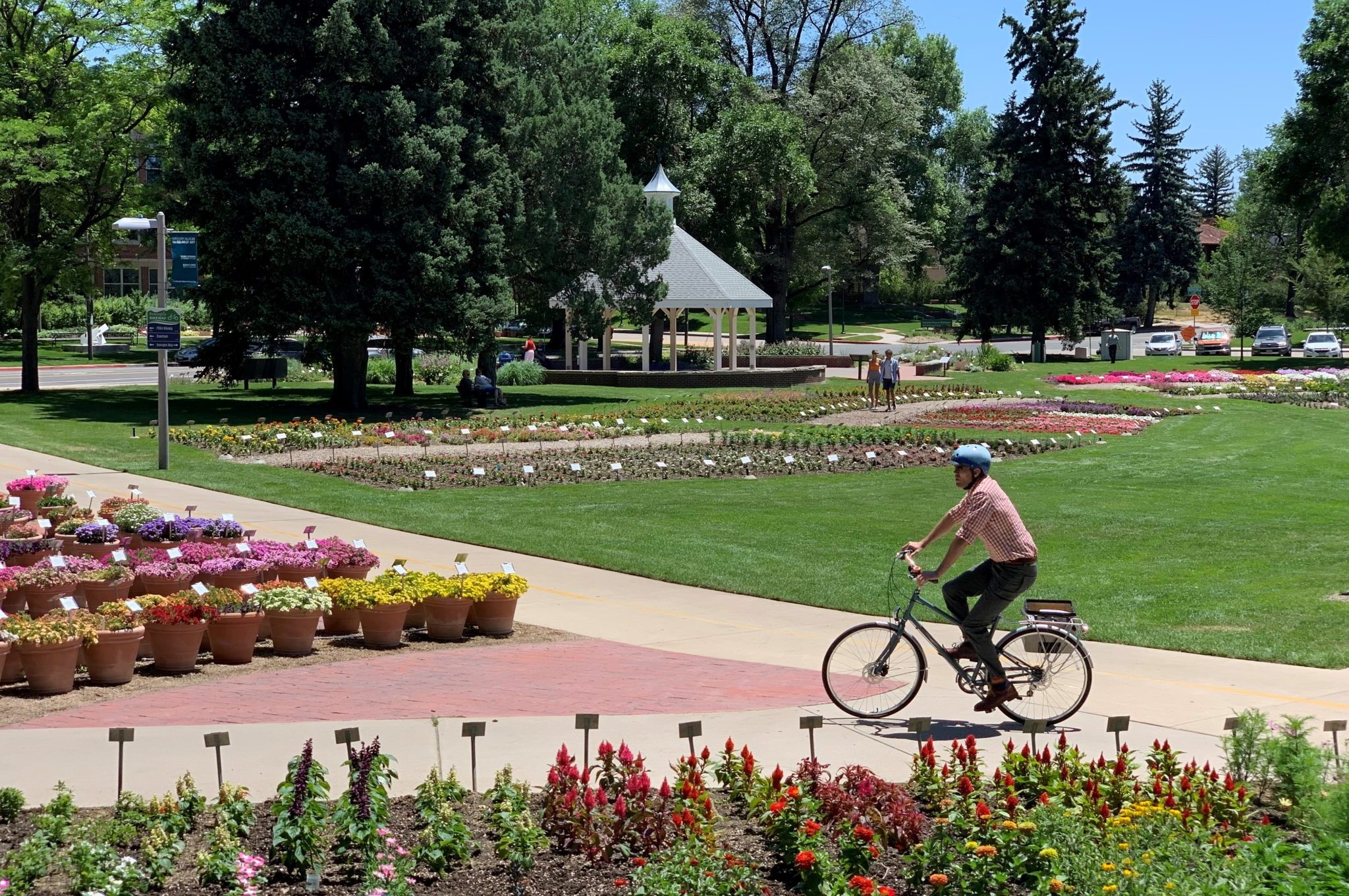 Person biking through the CSU garden